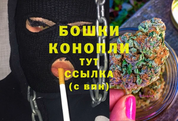 твердый Нягань
